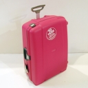 Samsonite,  , d18.020.078